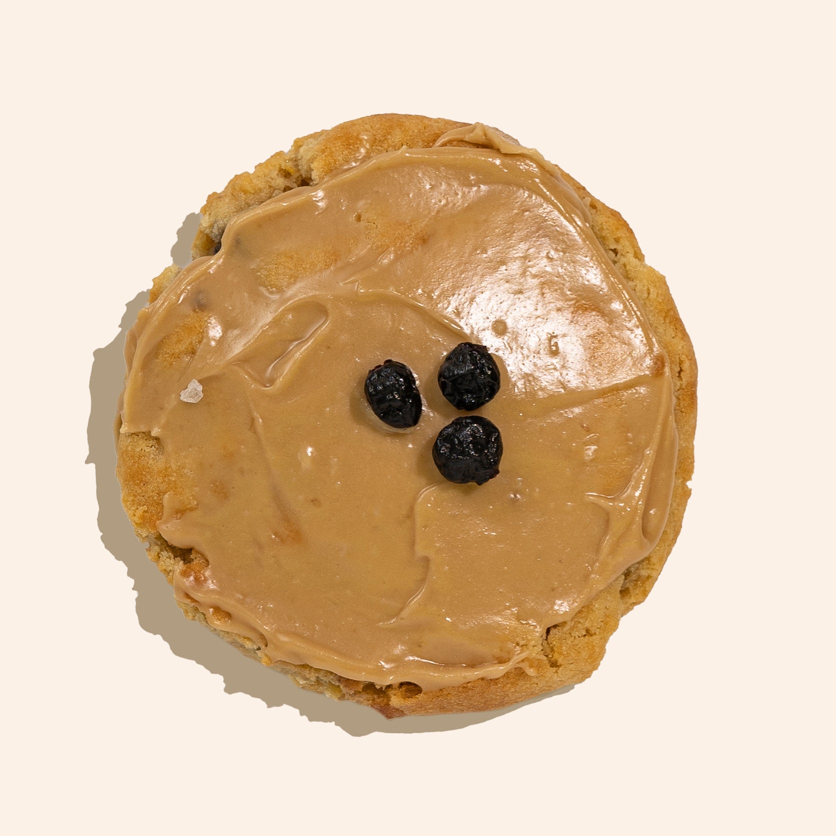 blueberry pancake cookie with maple glaze and blueberry garnish