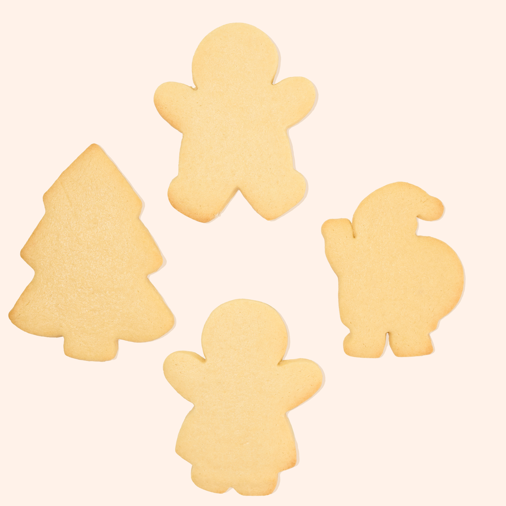 Christmas Cookie Kit