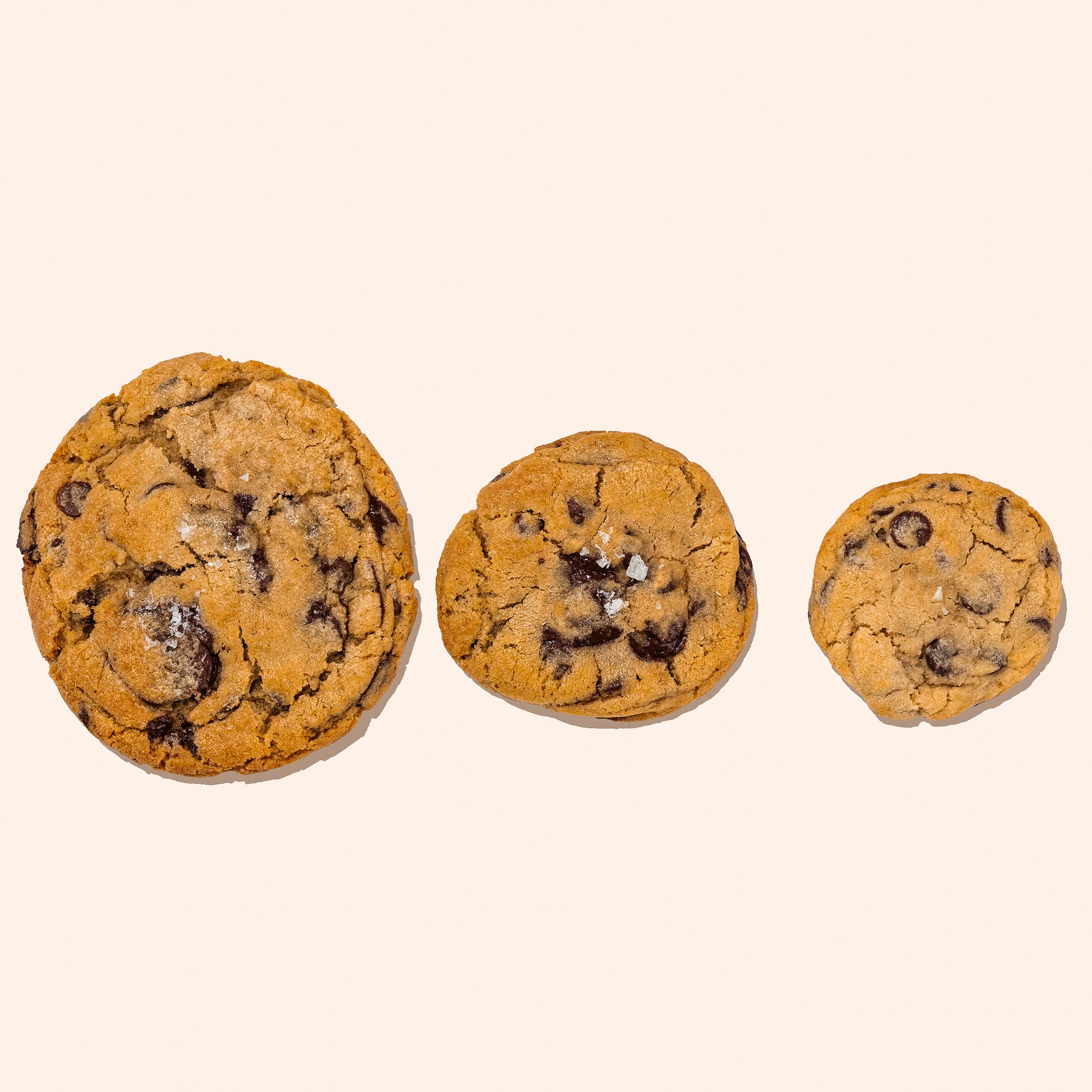 xl, large, and med chocolate chip cookies