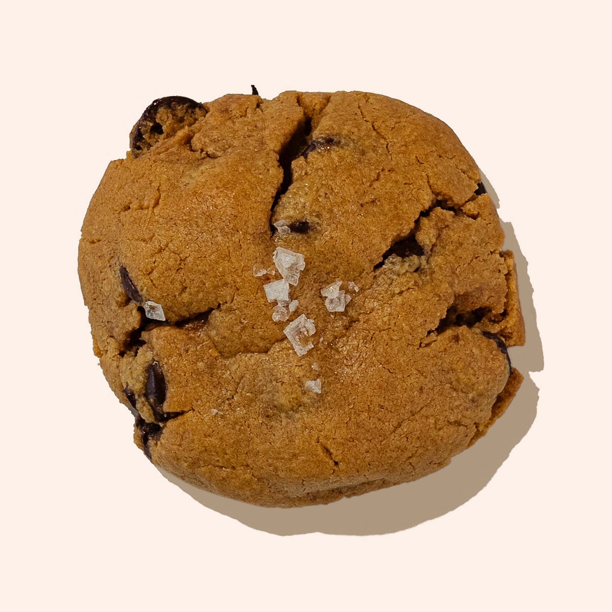 peanut butter chocolate chip cookie with maldon sea salt