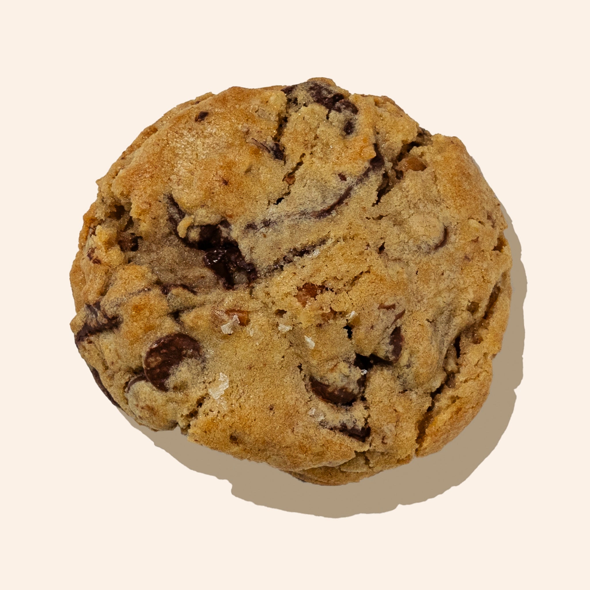 close up of chocolate chip pecan cookie
