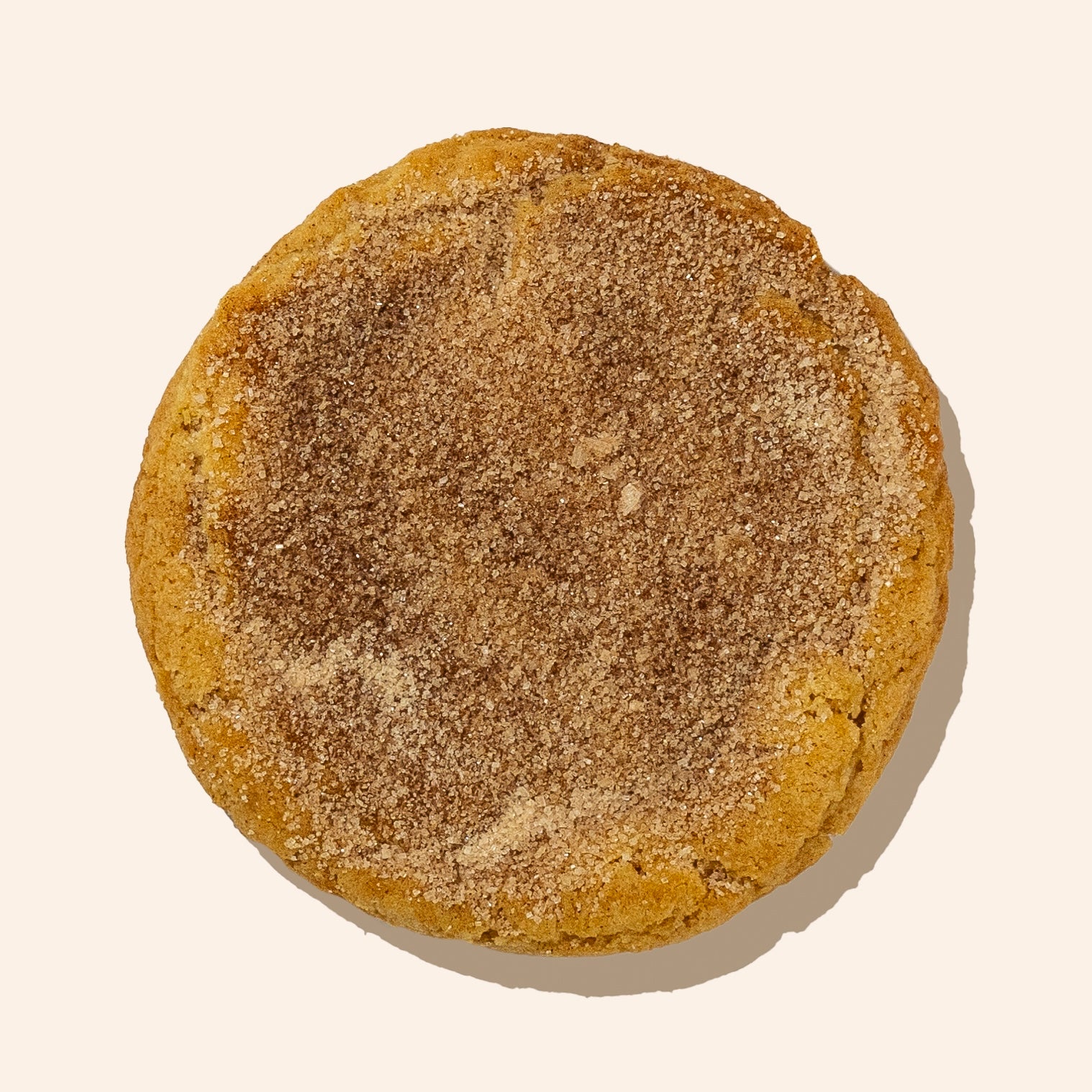 close up of cinnamon sugar dusted butter cookie