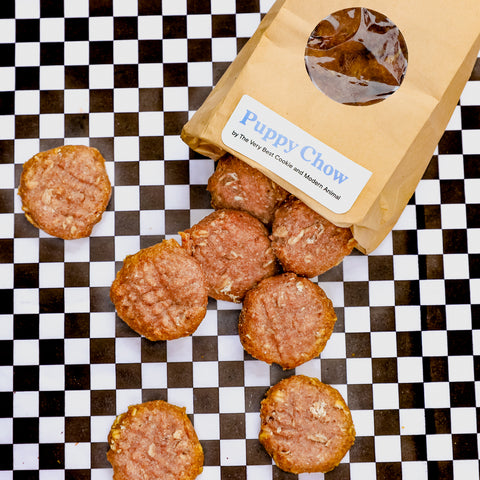 Modern Animal x TVBC Puppy Chow